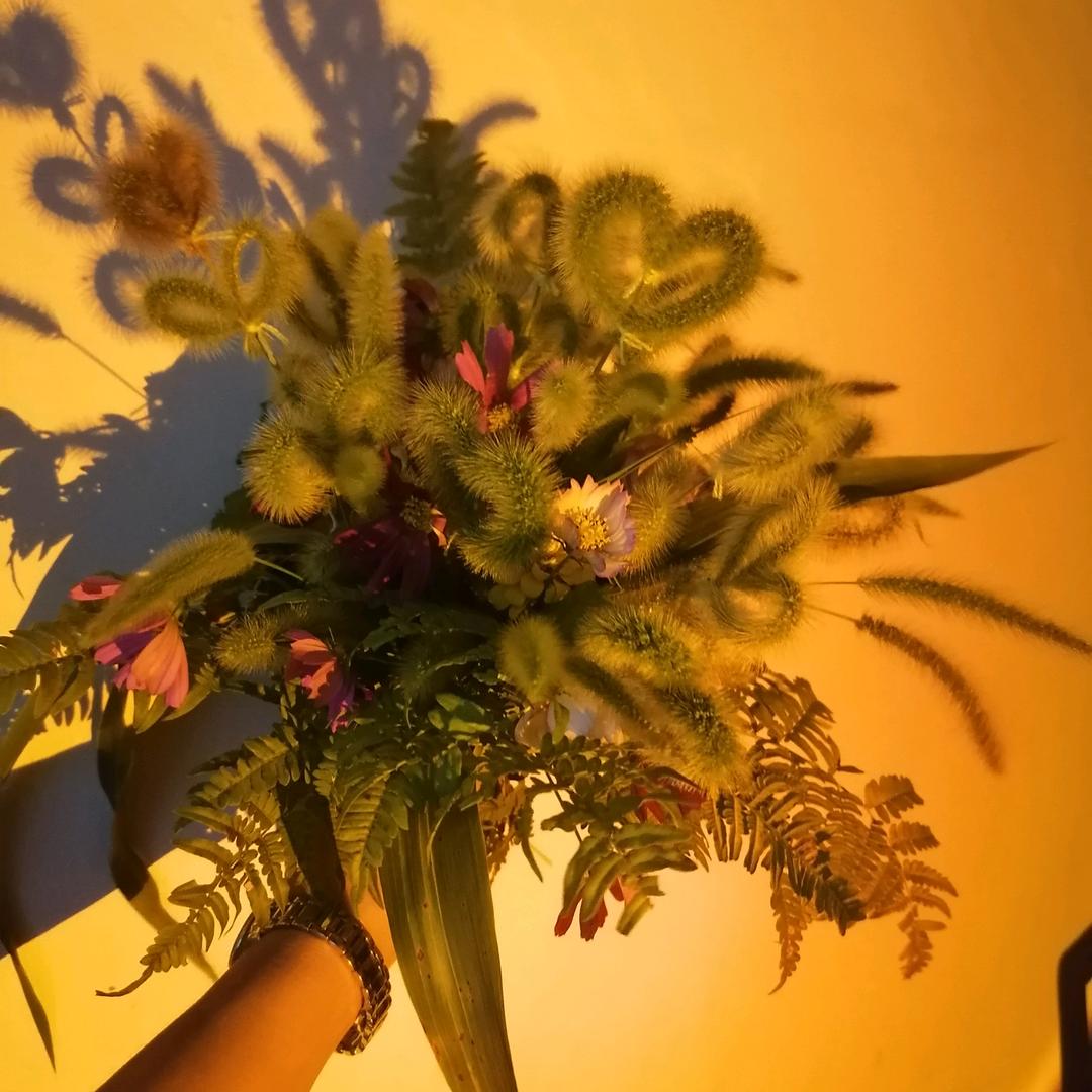 青丰寨