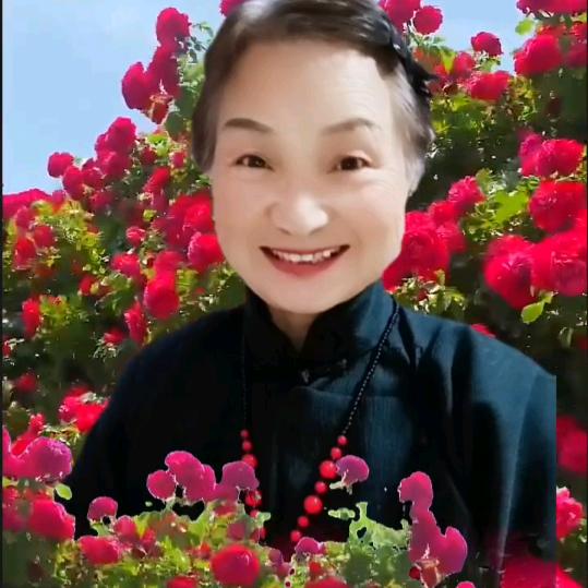 小兰奶奶