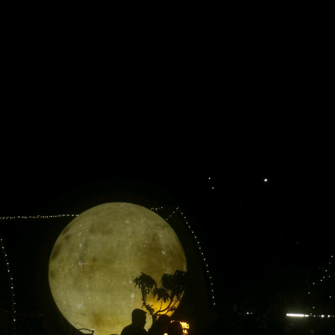 石悦