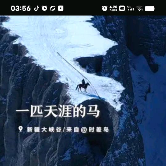 六六年的马