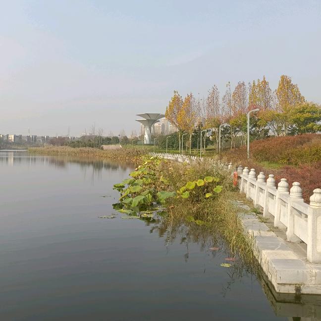 缘分👦👦🌻🌻