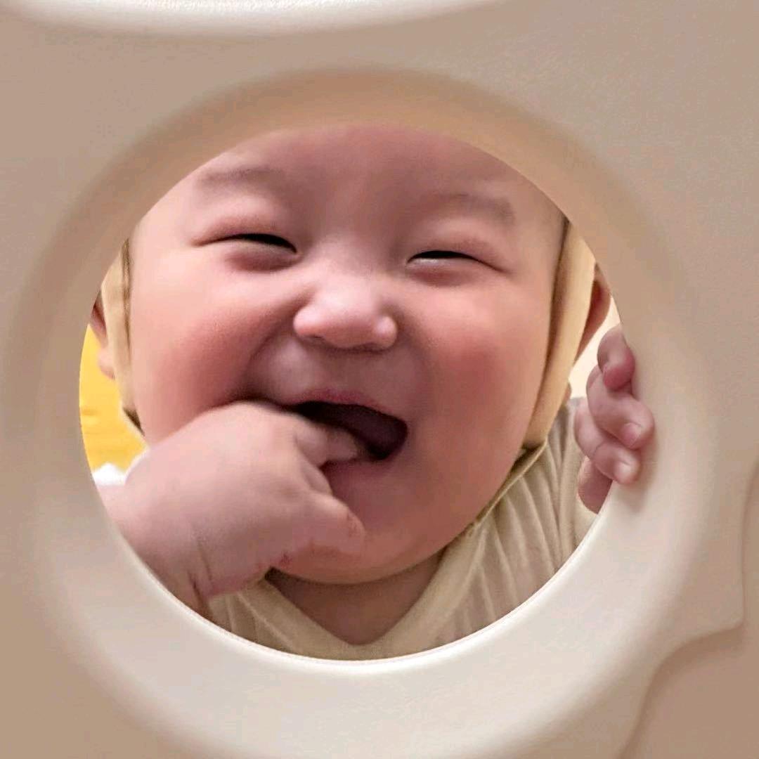 蔷薇