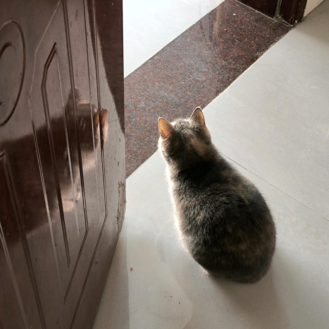 栗宝成长日记