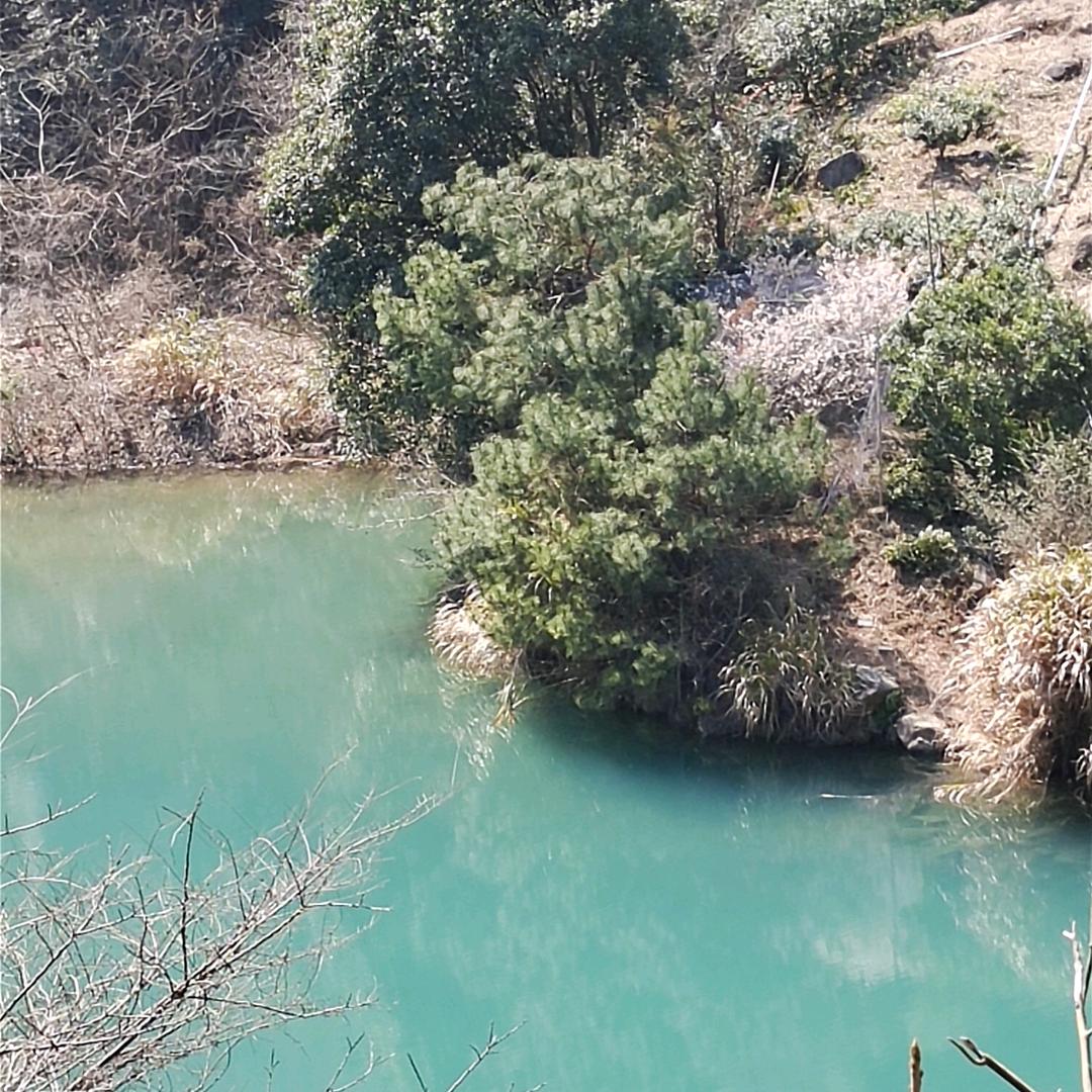 好运来了（拒绝私聊）