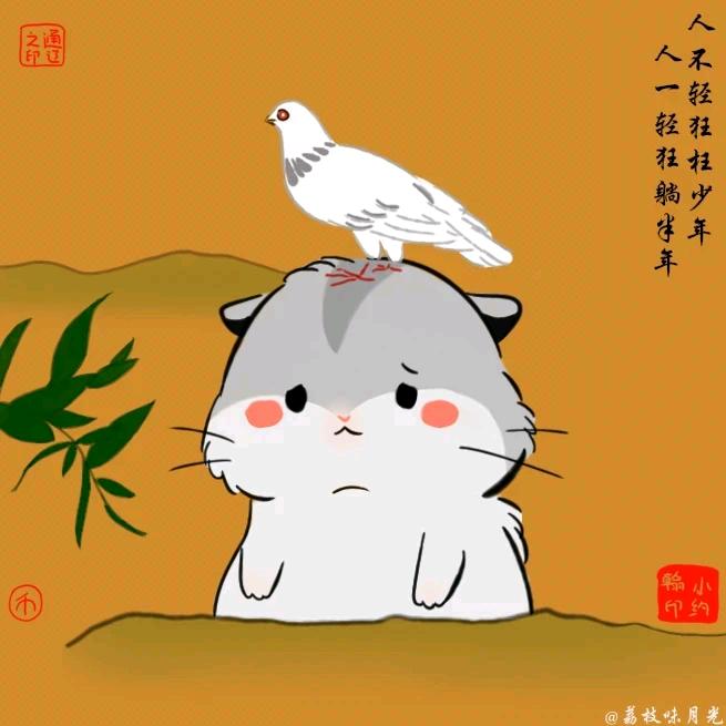 通辽的鸽子