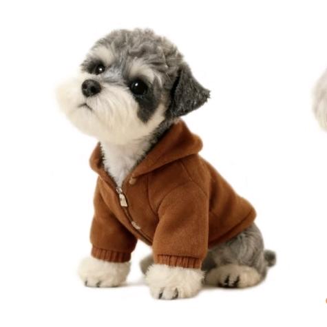 人家手拉手，我牵一条狗