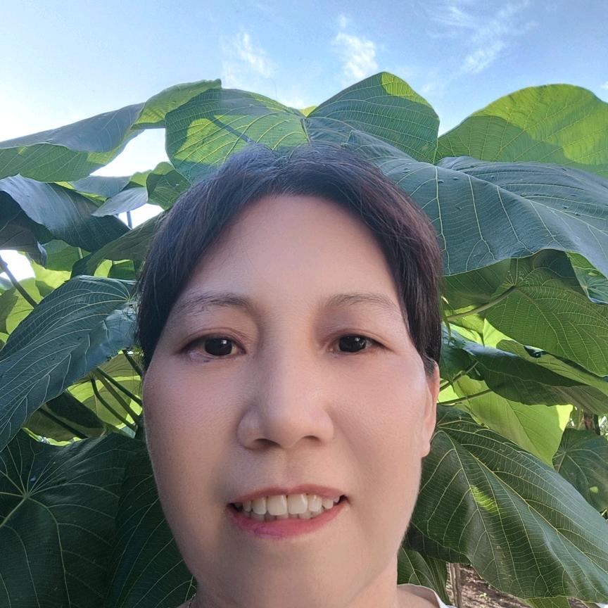 珍姐
