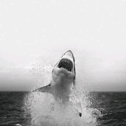 ㅤ    ㅤ    ㅤ