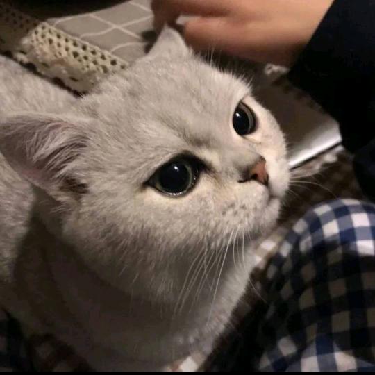 E一点