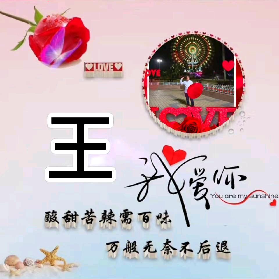 冰雪玫瑰