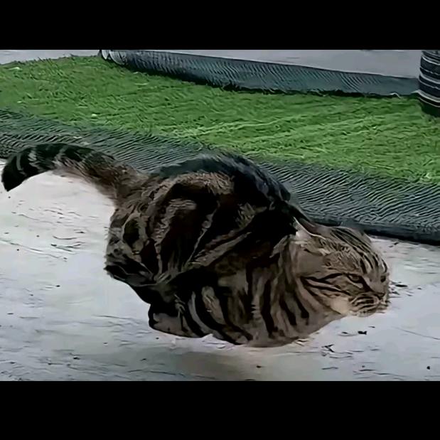 对你笑纯属礼貌