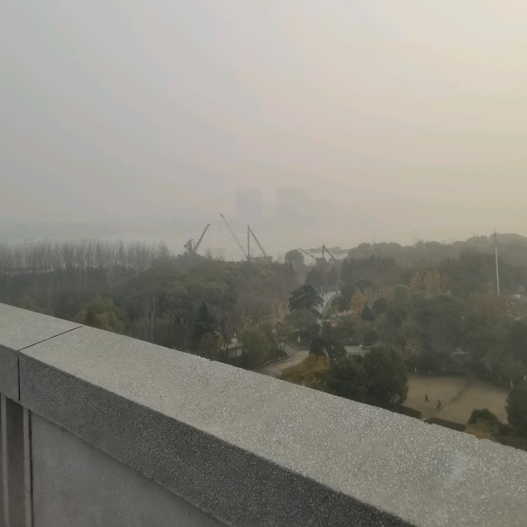 烟雨归舟