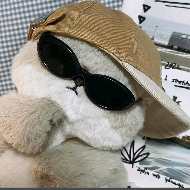 想要看遍世界