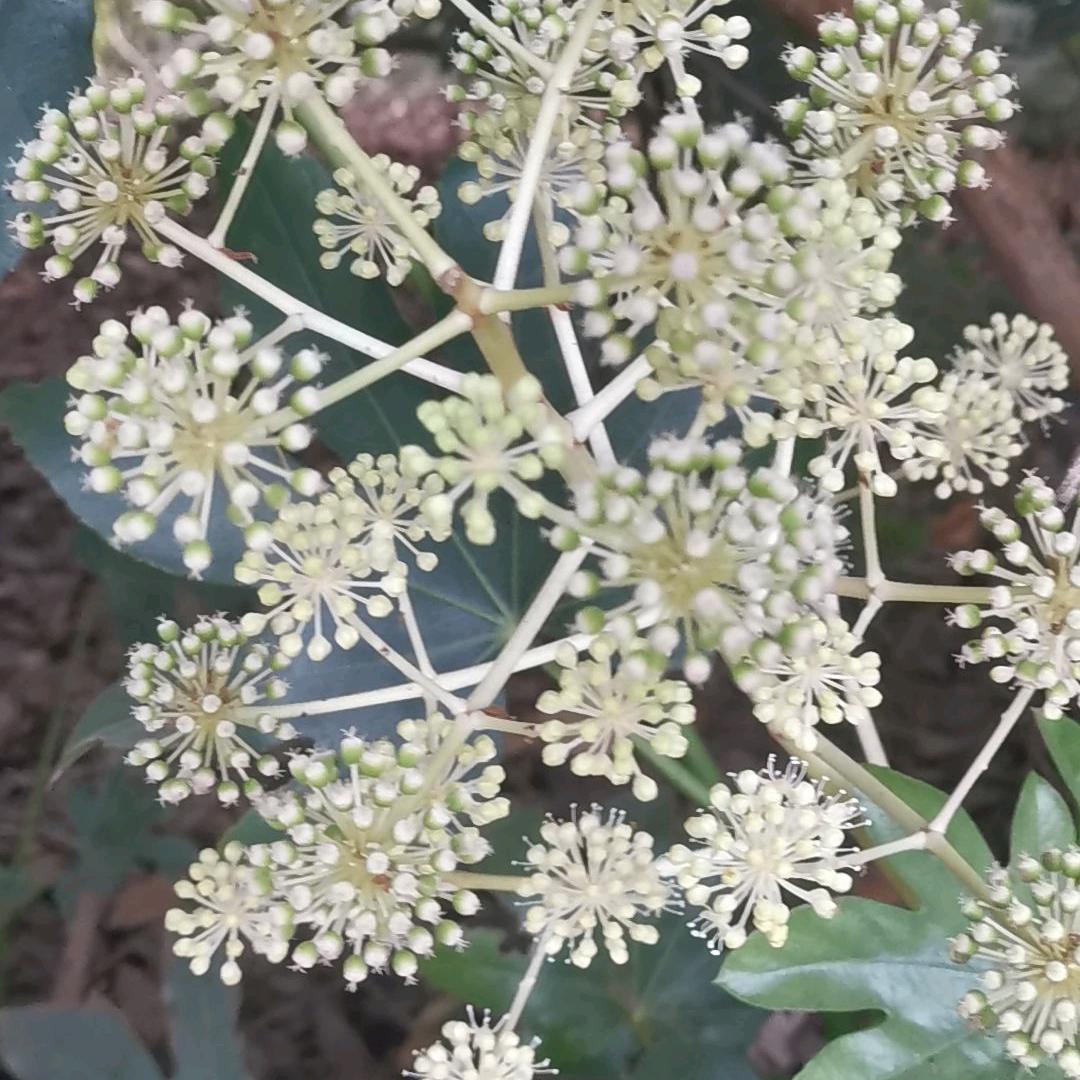 所思所想