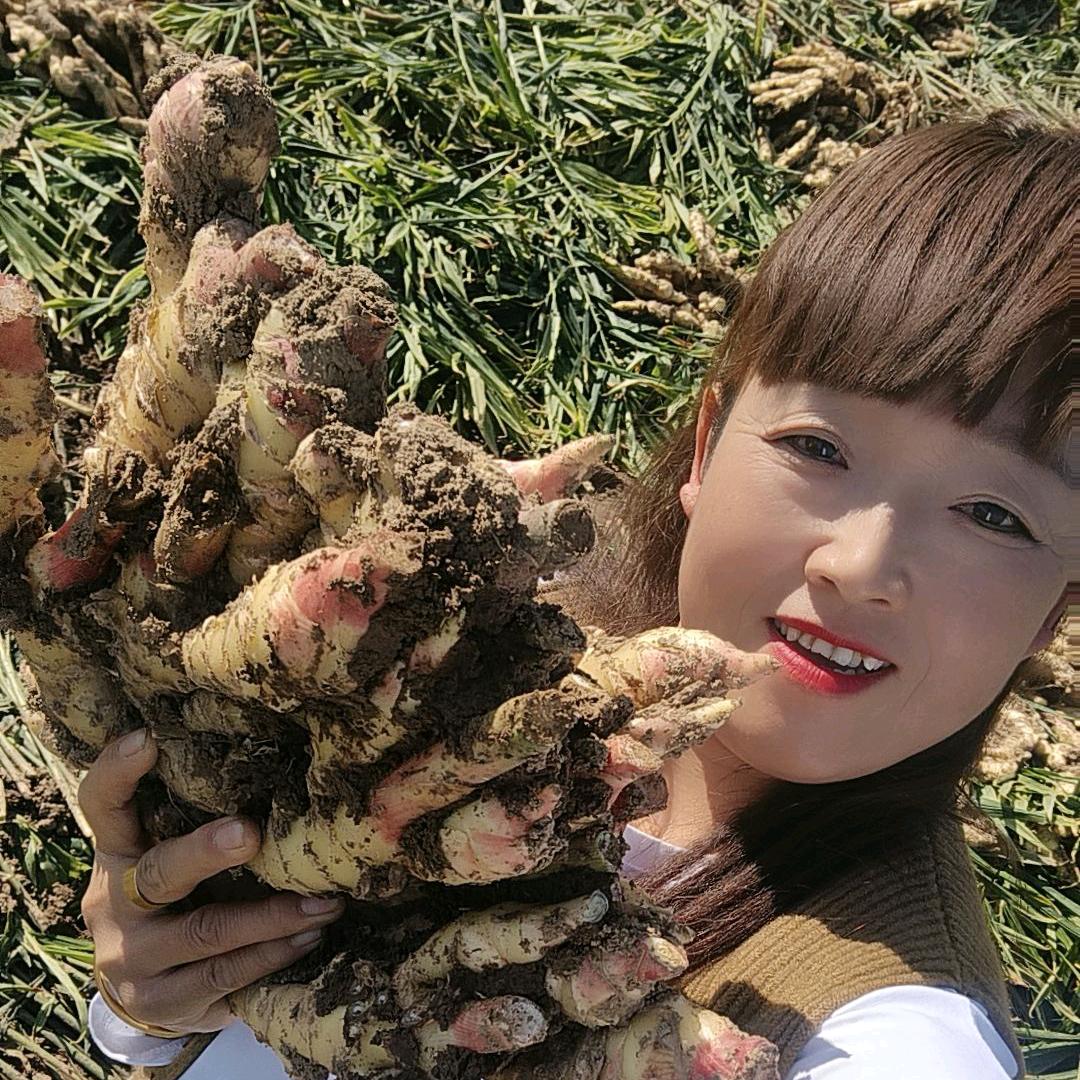 蒲城生姜姐