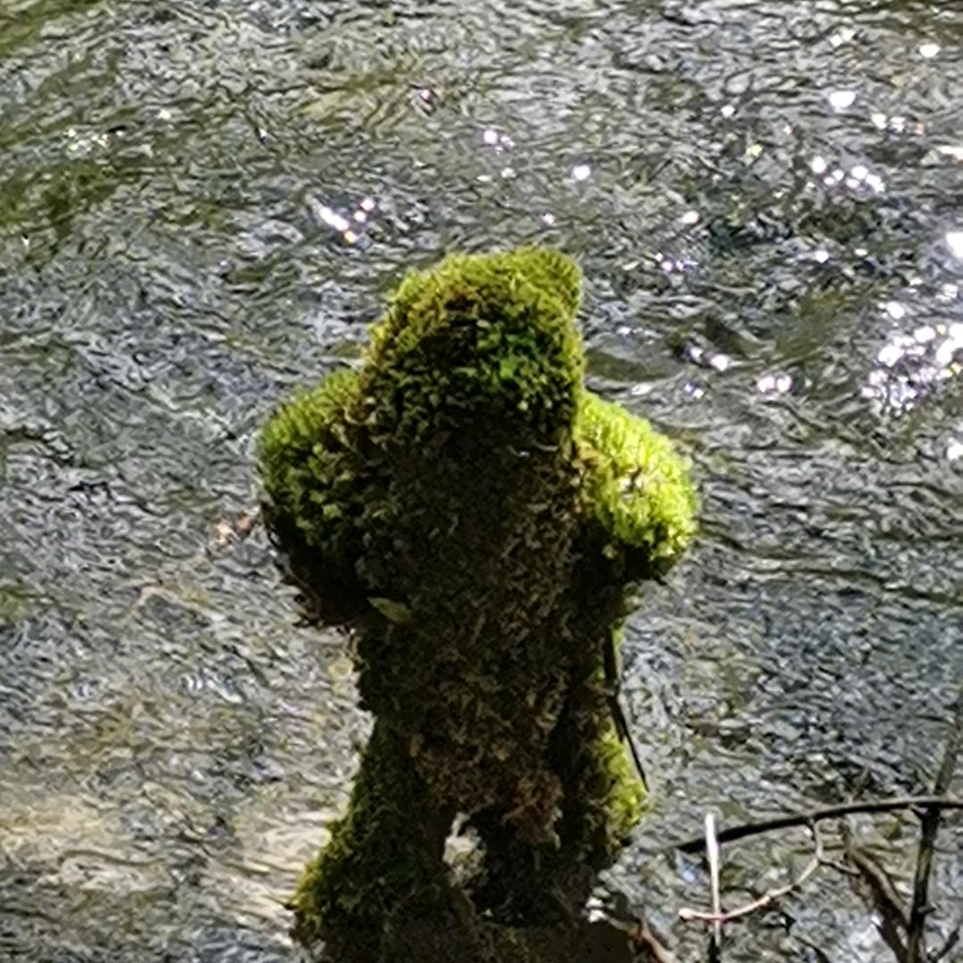 宣