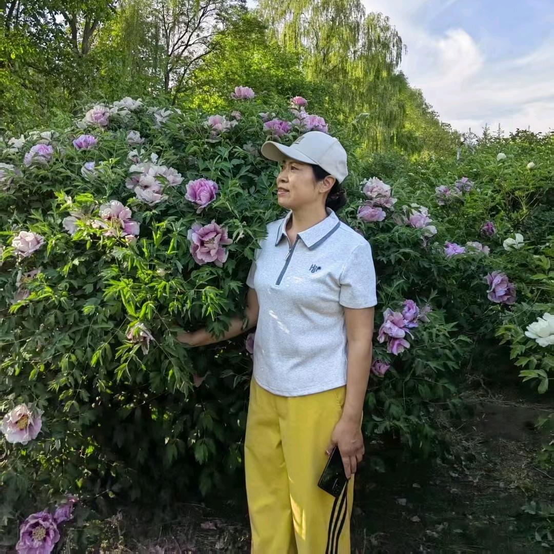 晨霞🌸