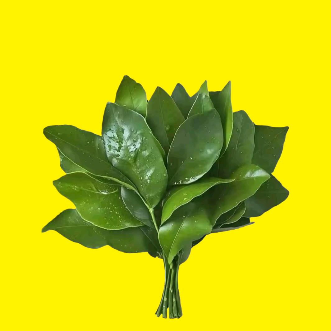 落魄公主