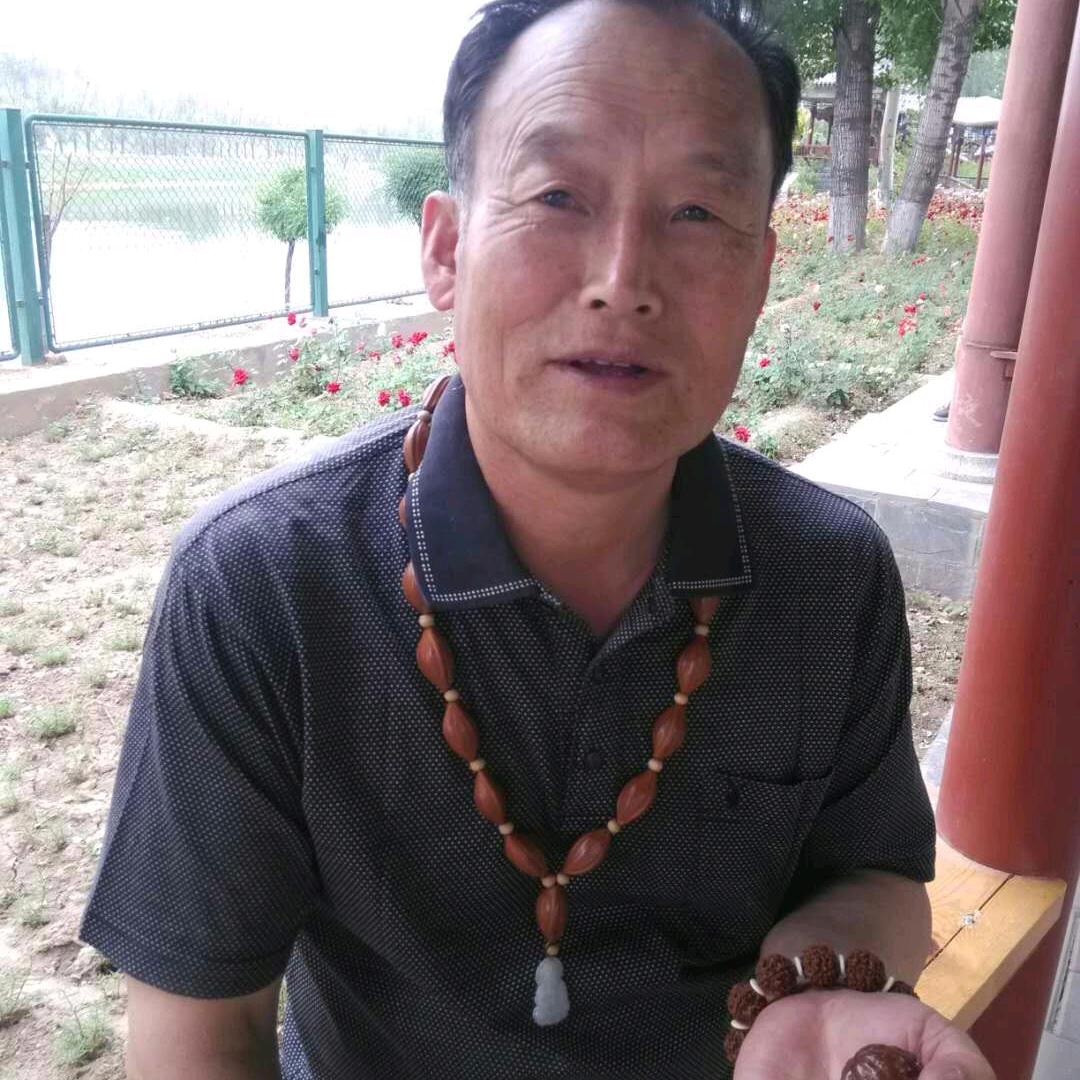 用户8150407039582 不老松