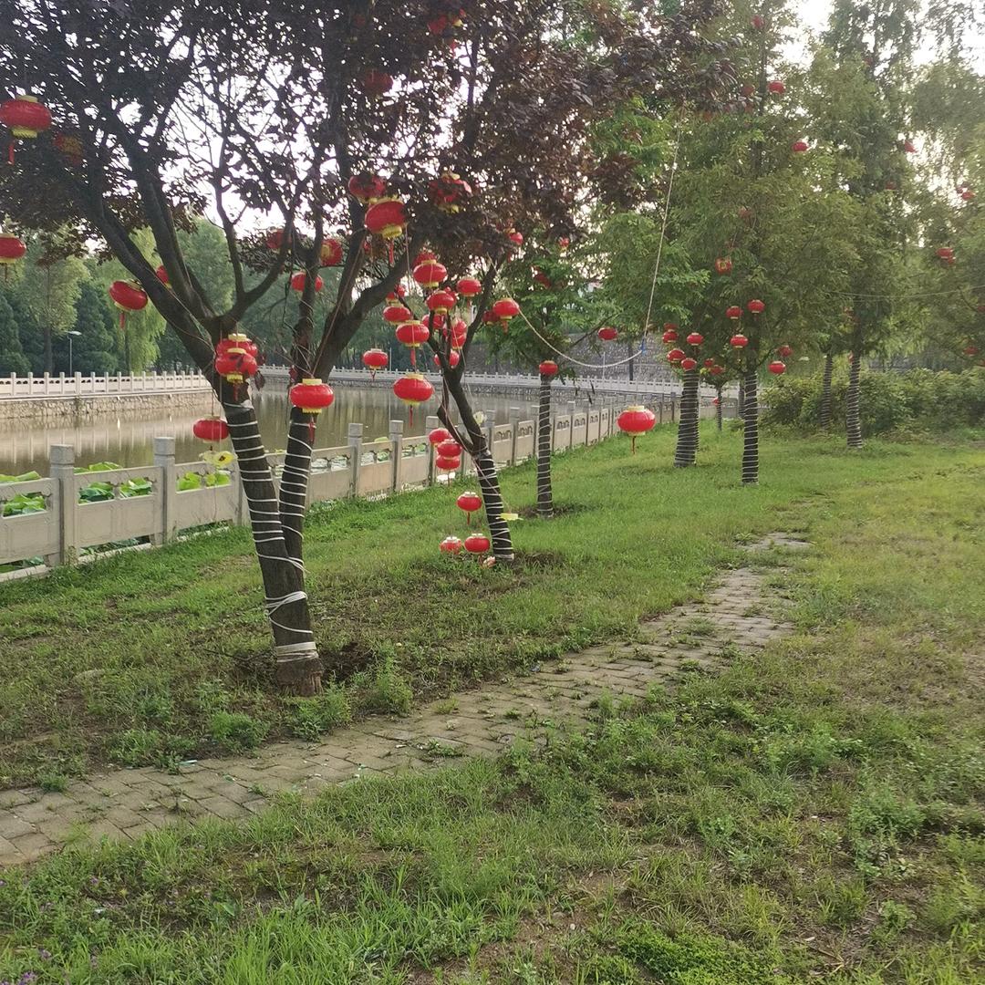 松栢