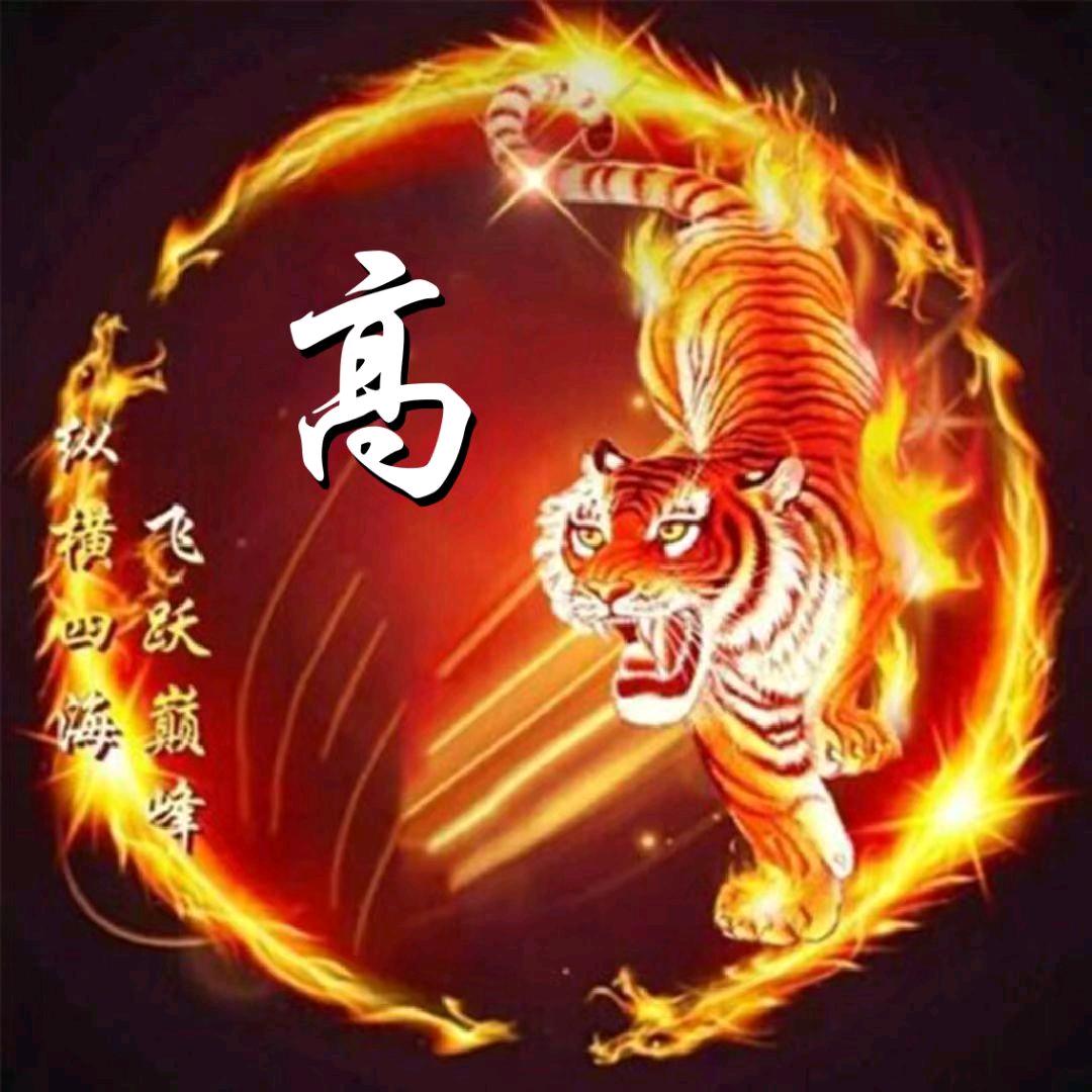 随心远行（xin）