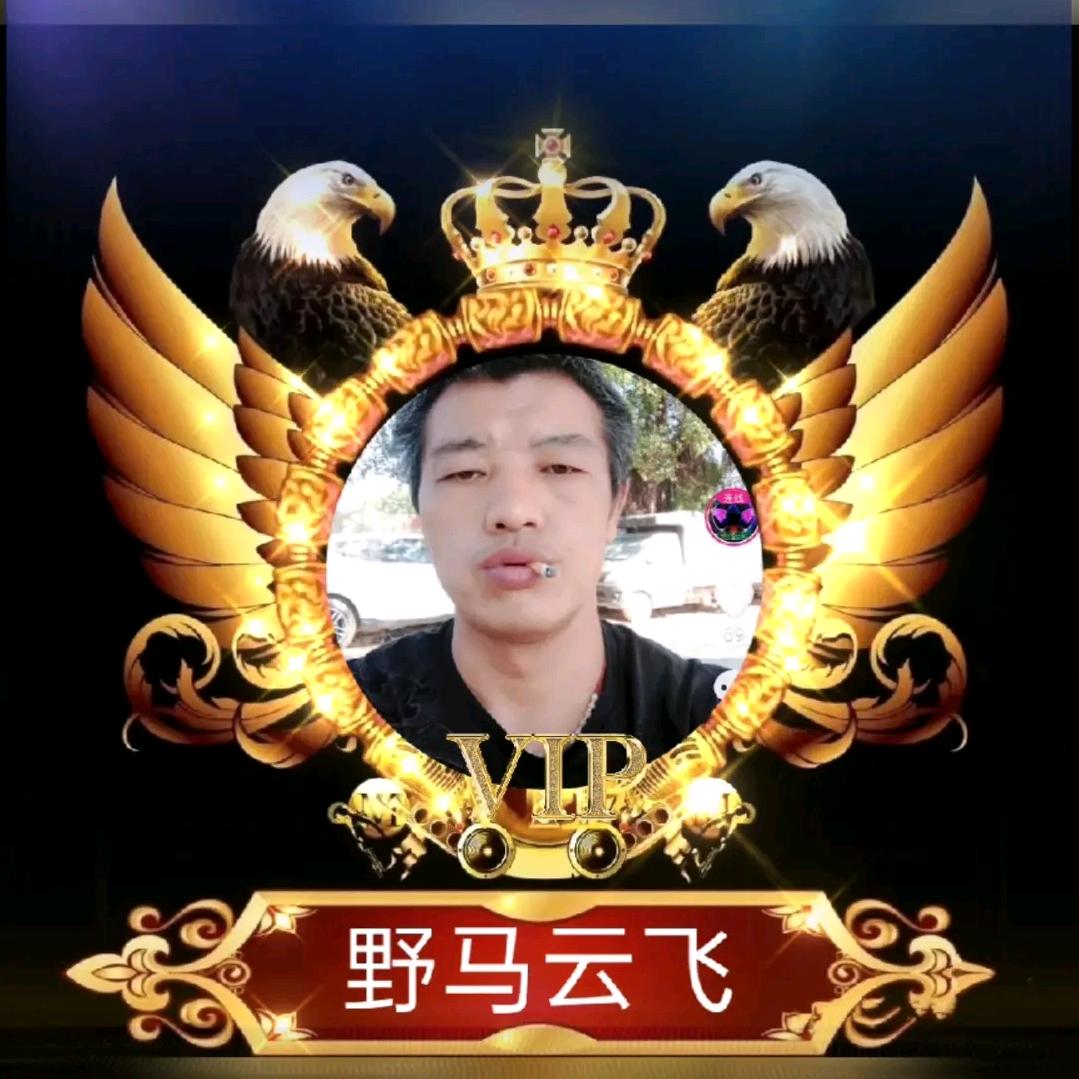 野马云飞