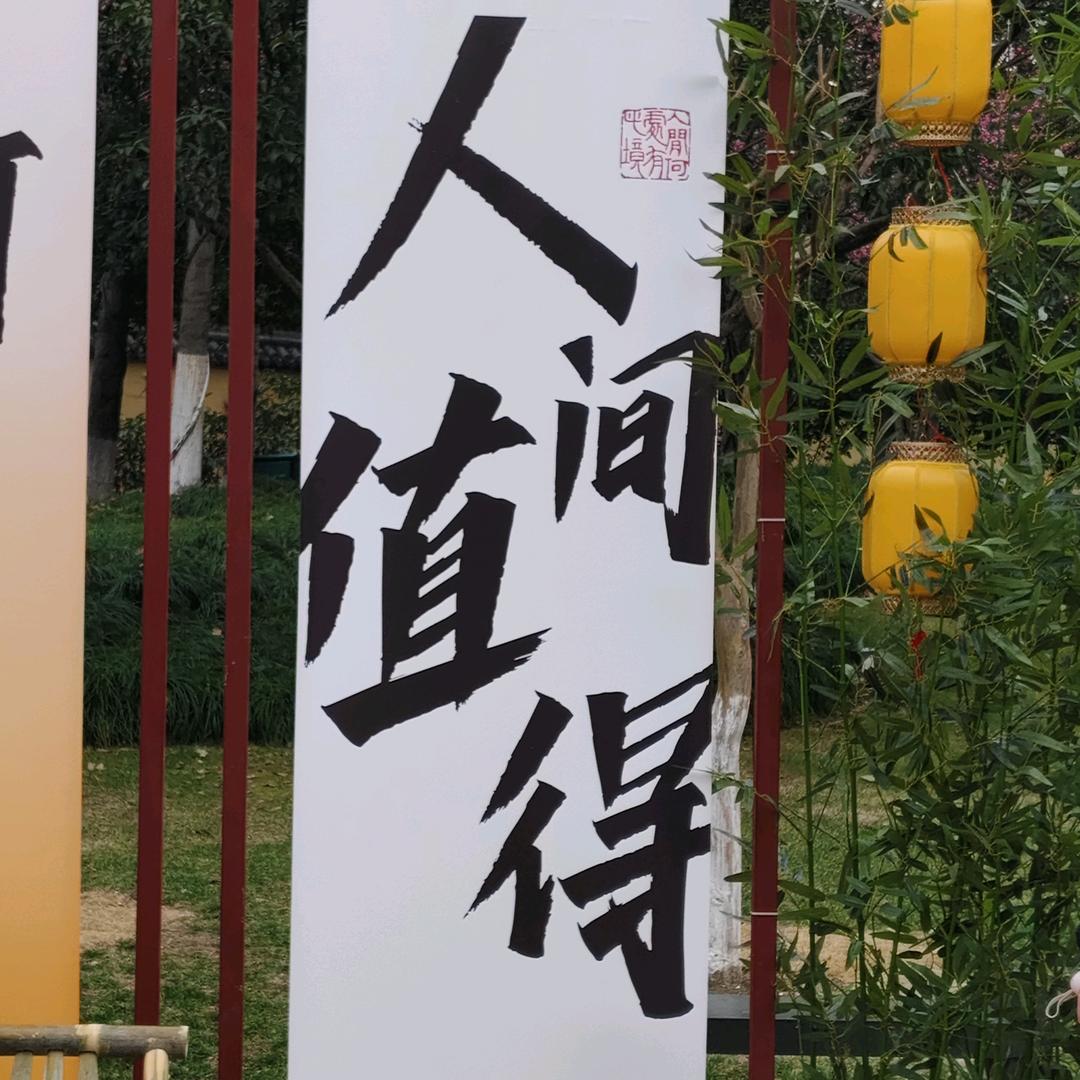 来自大西北的杭漂人✊✊