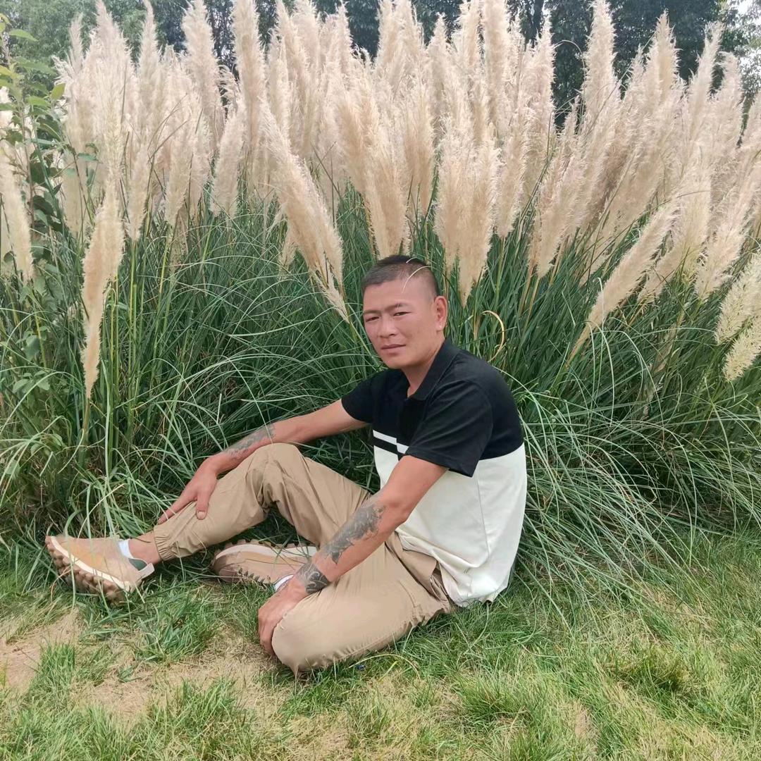 社会你飞哥