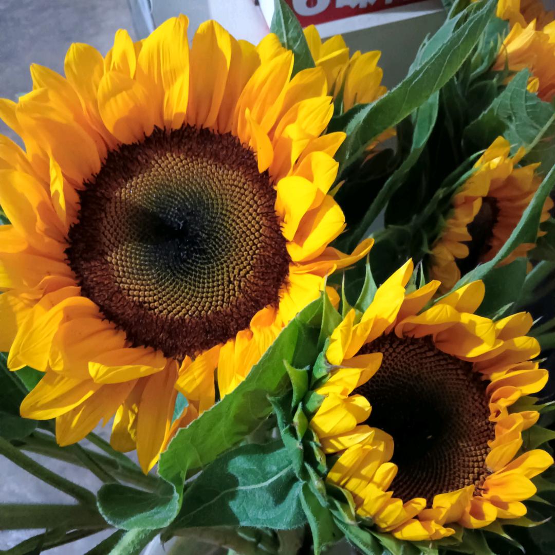 余生:》安》好}