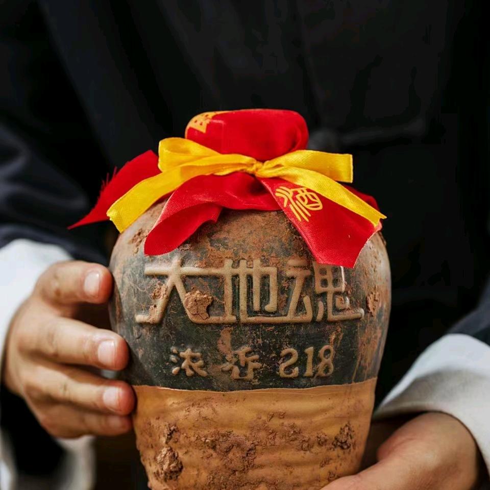 大地魂-马成-创业人生