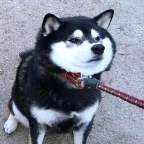 Oo