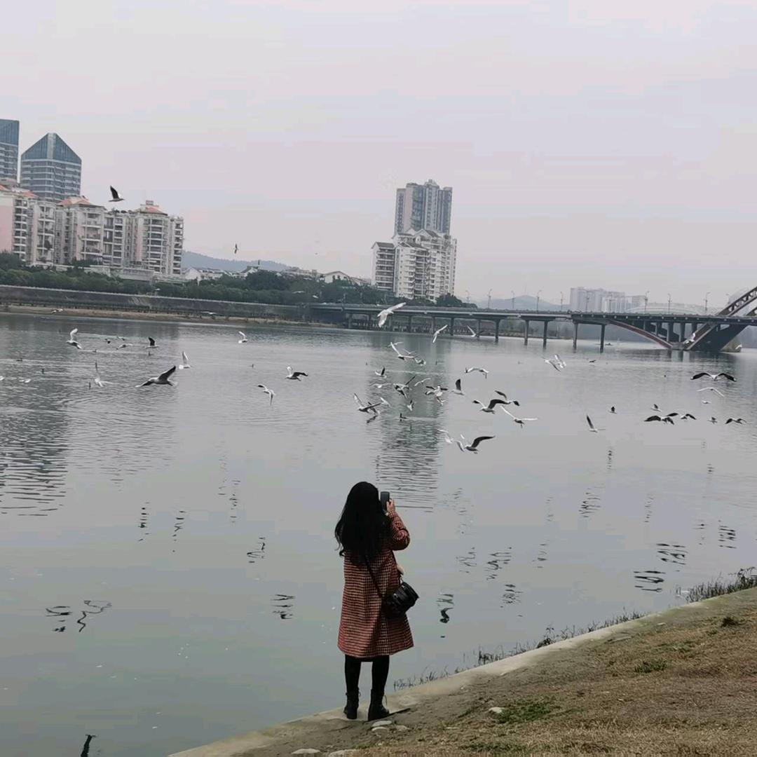 @玲子@