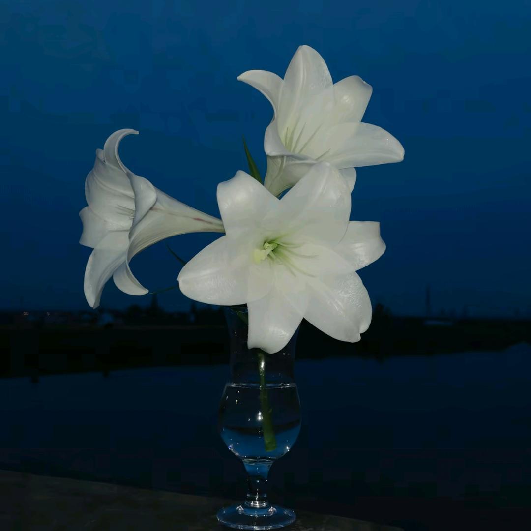 泪痣.（限流中）