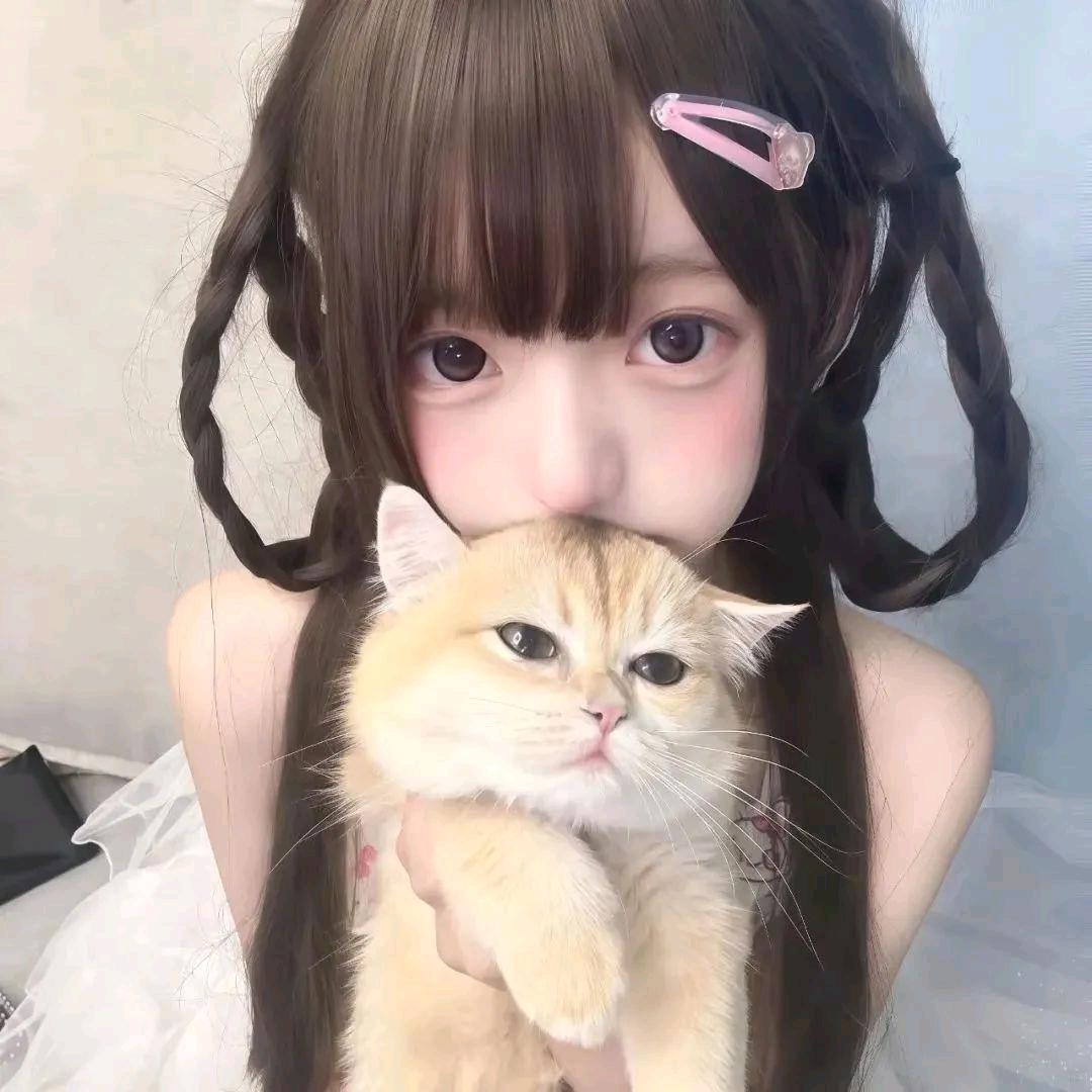 小猫喵喵喵