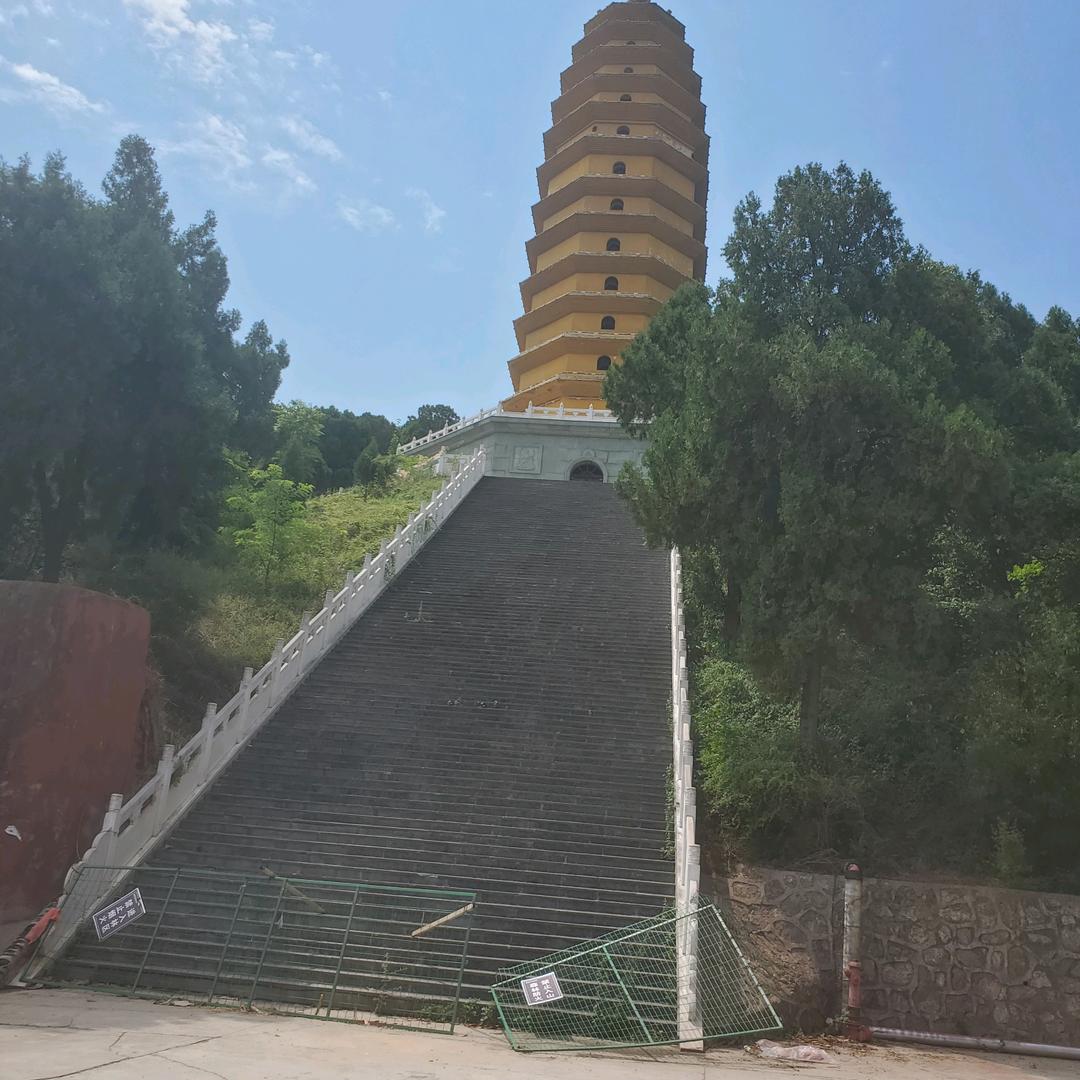 小燕zi
