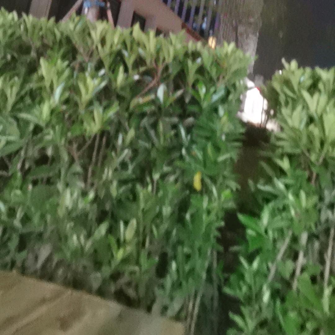 95910125031