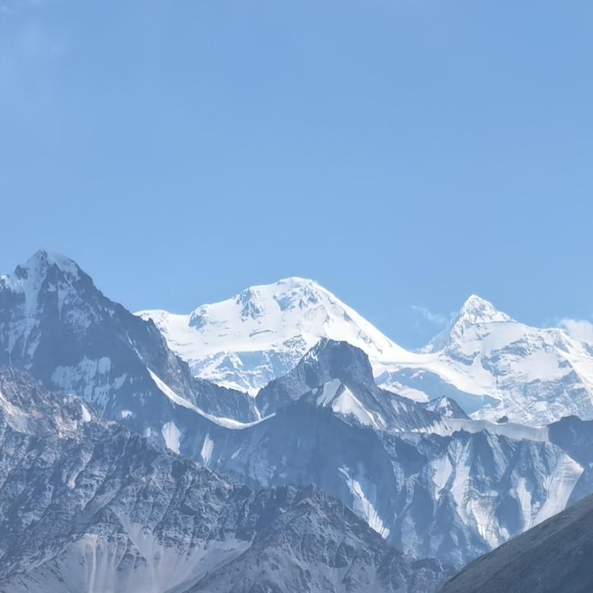 🌹玫瑰之约🌹