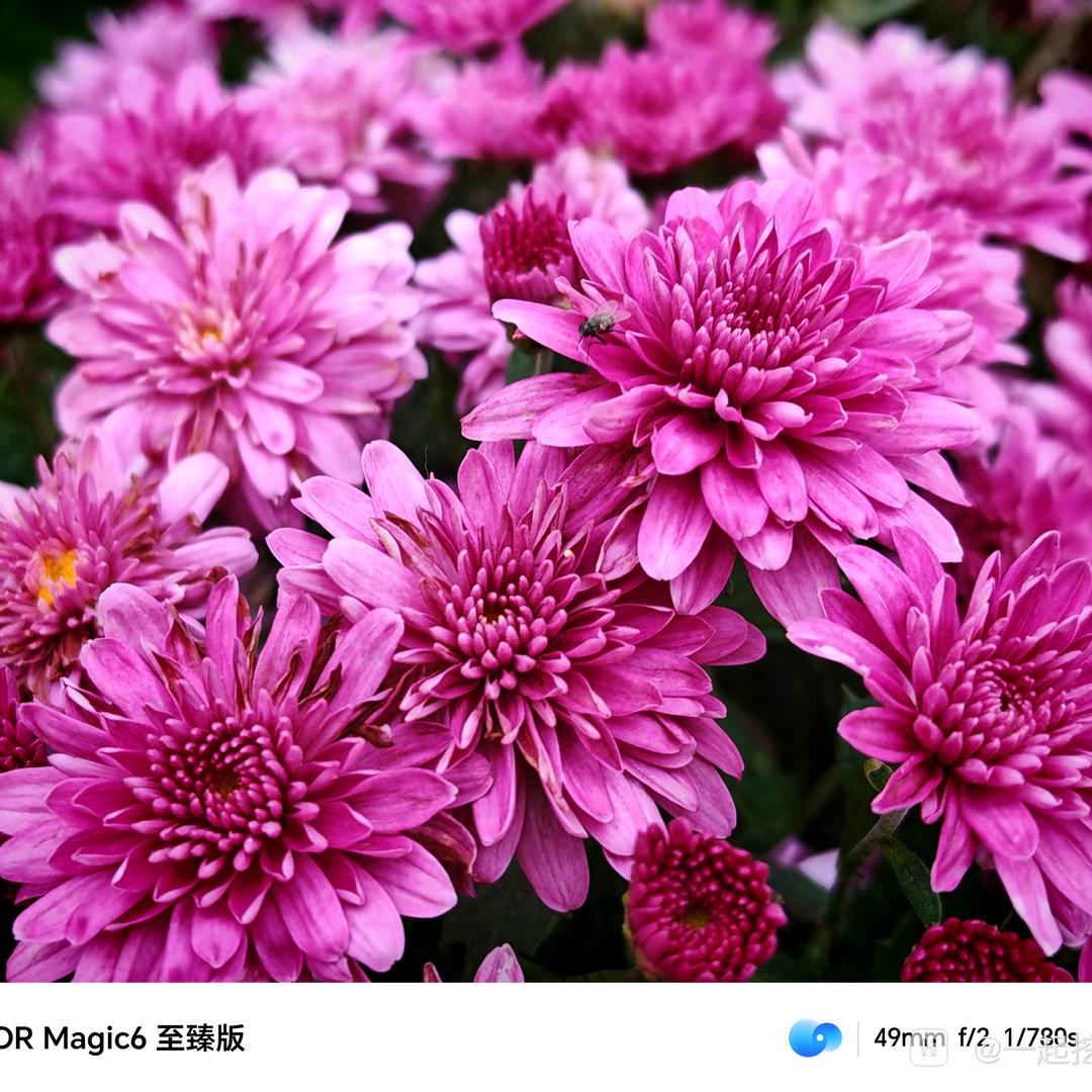 清晨的阳光