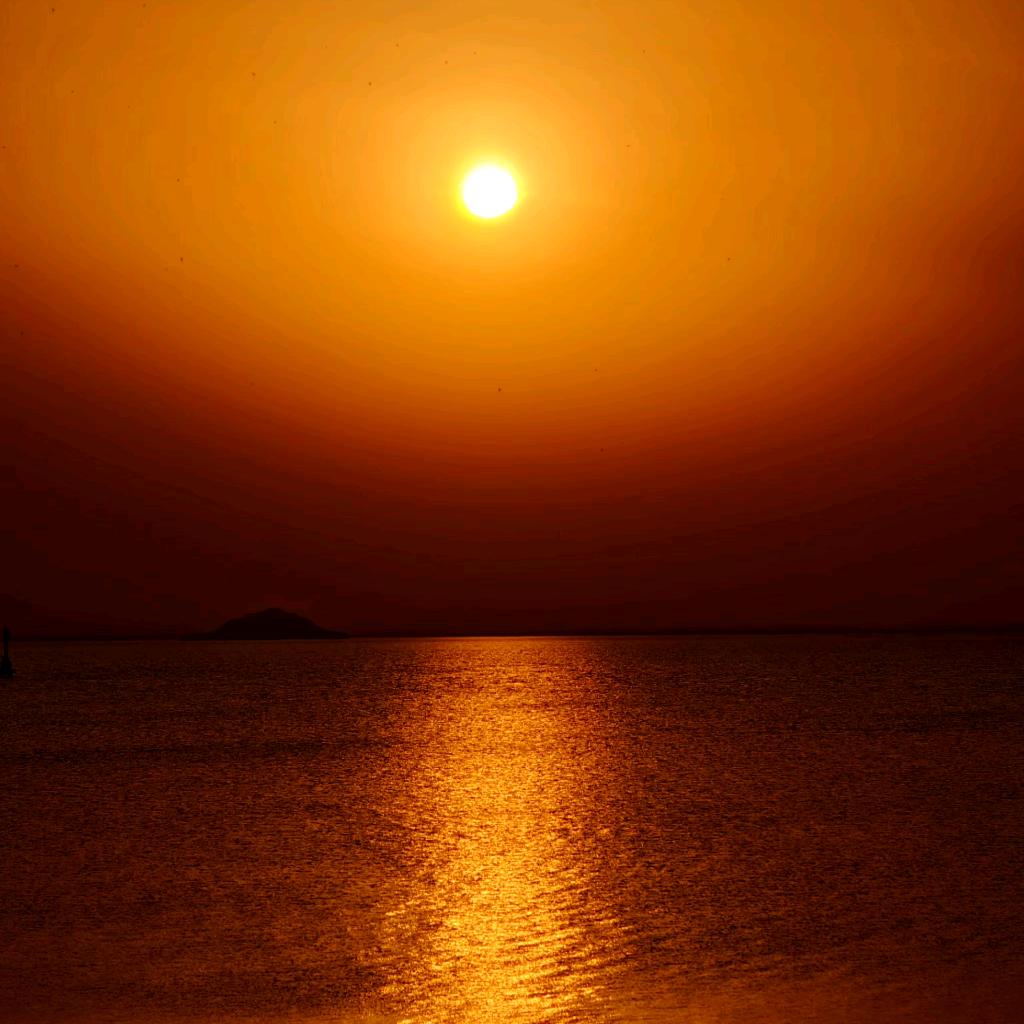海中游
