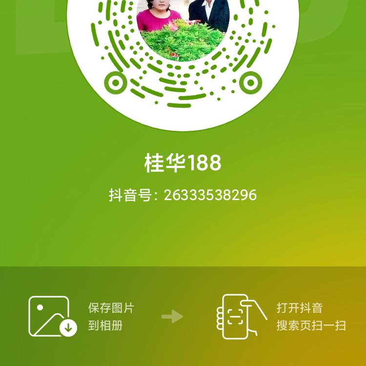 桂华188