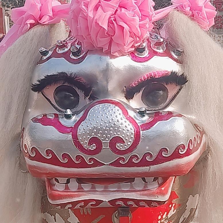 河南网红小白狮《青年舞狮团 》李豪