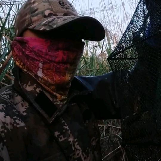 （孙行者）🐟𓆡  𓆝记录生活