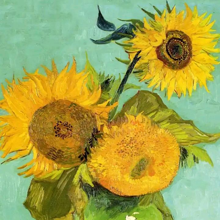 幸福姐助力号，晚上8:30，开播