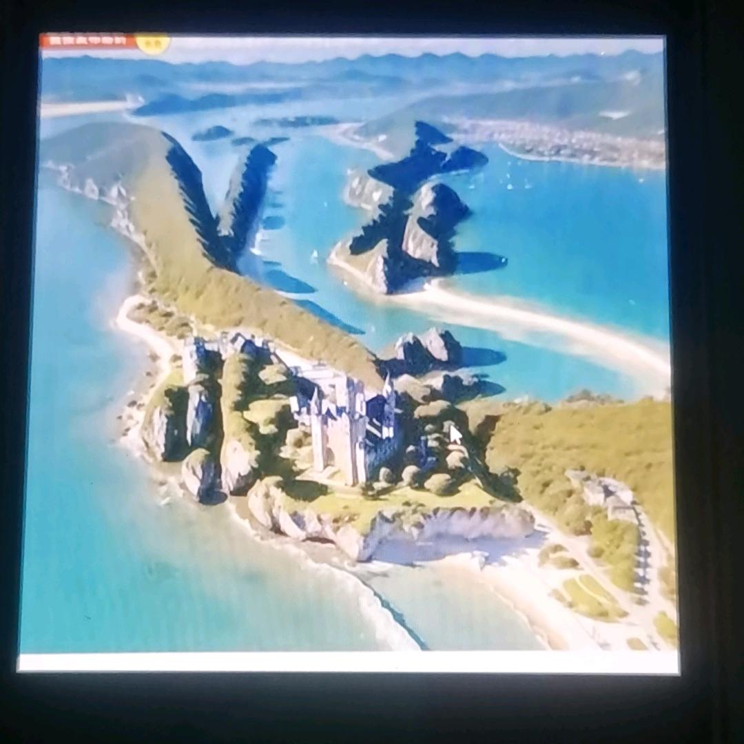 兰花