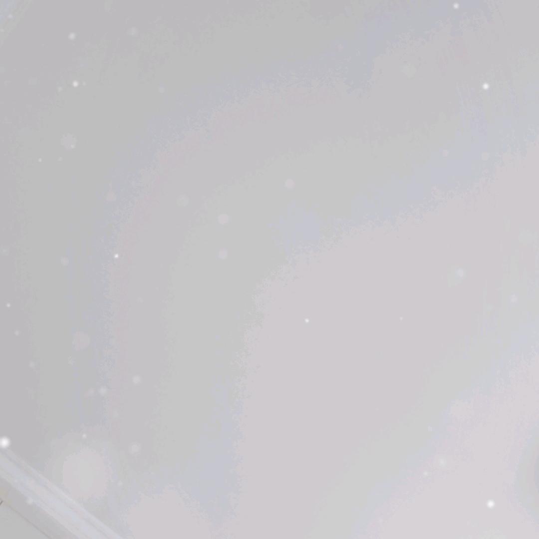 静言不争