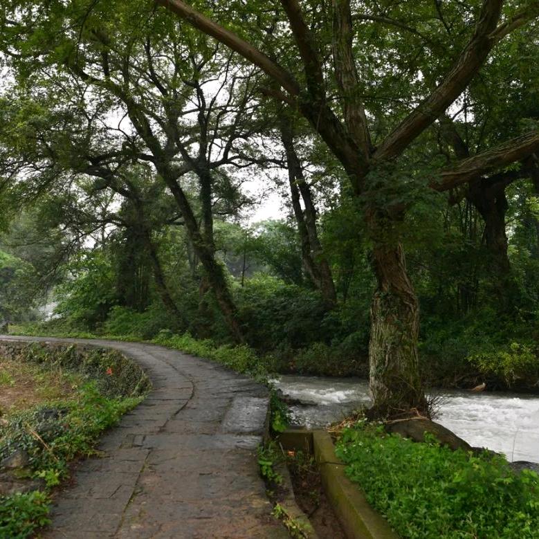 走在路上看风景