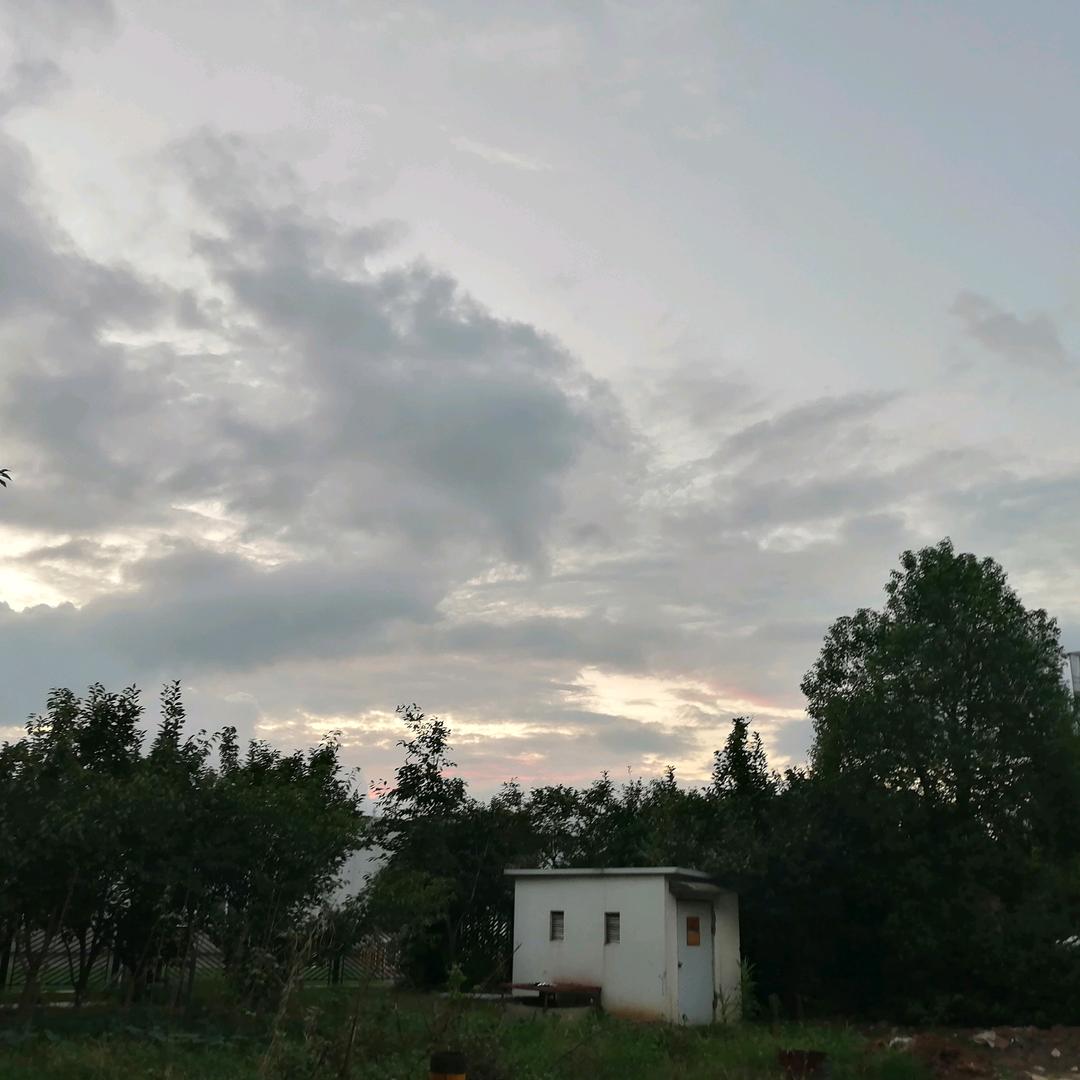 🎤一只李小帥呀