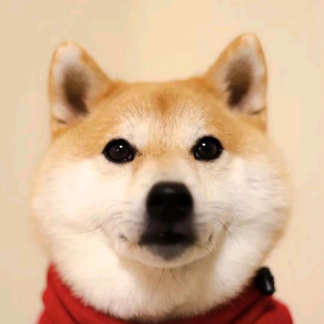 昏昏沉沉的龙阁主头像