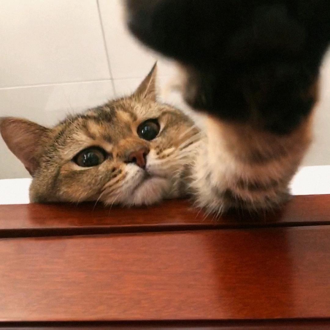 你看看我现在叫什么是不是跟以前不一样