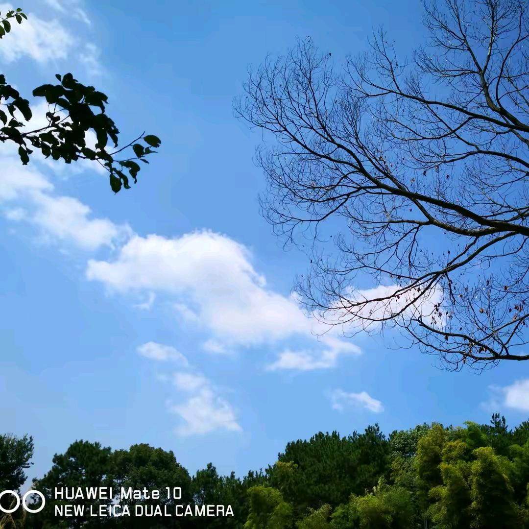 雨搏7899
